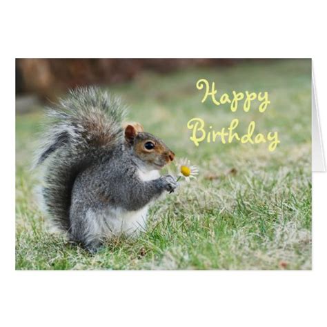 Happy Birthday Squirrel Card Zazzle