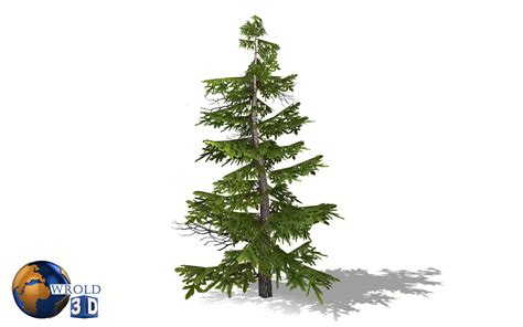 Low Poly Pine Tree Lowpoly 3d Model Cgtrader