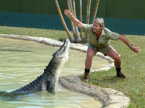 Croc Comes After Crocodile Hunter