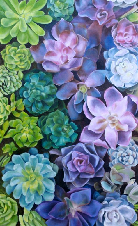 Succulent Garden Wallpapers Top Free Succulent Garden Backgrounds