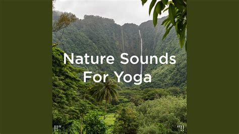 Nature Sounds Without Music Youtube