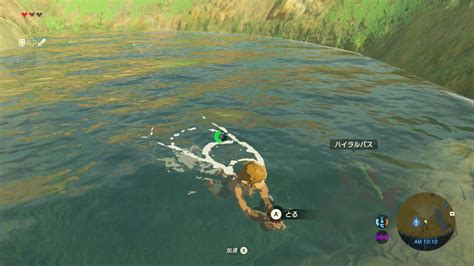 Zelda Breath Of The Wild Screenshots