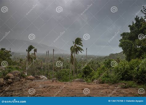 Dramatic Stormy Cloud Sky Above Tropical Palms Trees Storm Pabuk