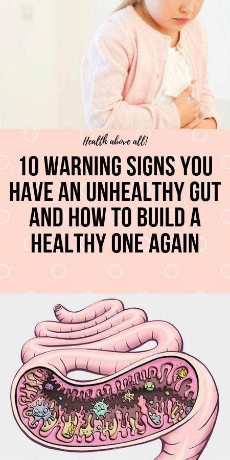 10 warning signs you have an unheathy gut and how to build a healthy one again wellness magazine