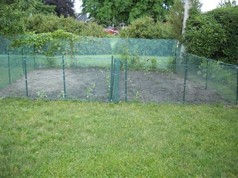 10 Cheap Garden Fencing Ideas Awesome As Well As Lovely Fenced