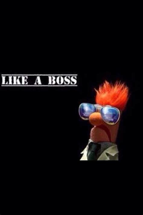 Like A Boss Funny Meme Pictures Muppets The Muppet Show