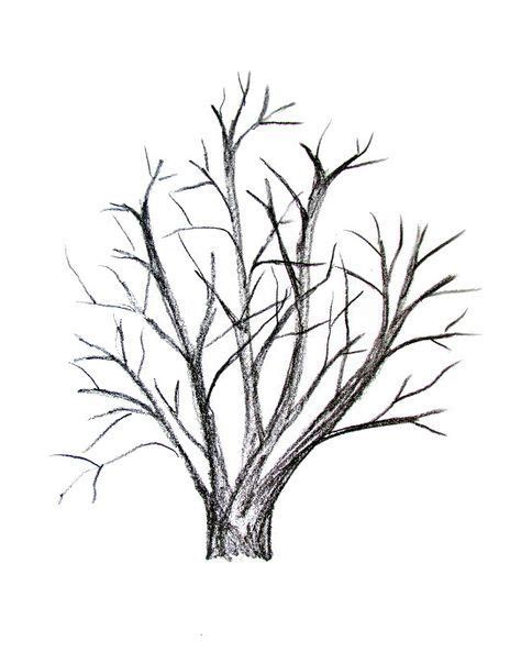 Tree Drawing Wallpaper At Getdrawings Free Download
