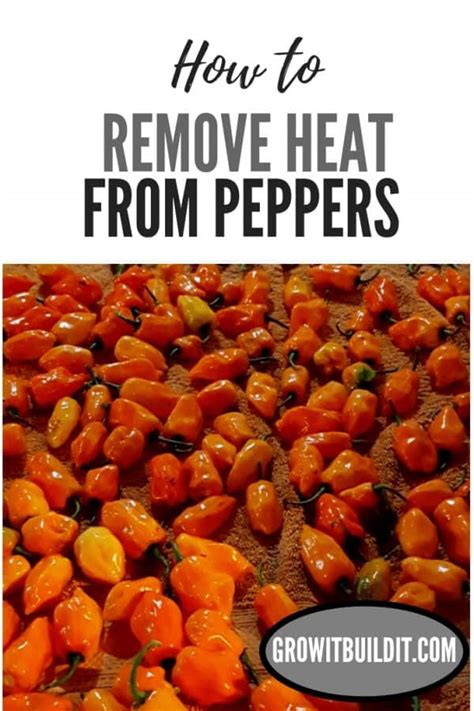 how to remove heat from peppers guide w pics growit buildit