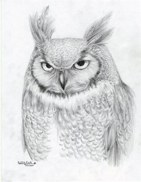 37 Realistic Great Horned Owl Realistic Owl Coloring Pages