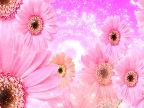Flowers gif exotic flowers my flower flower art flower power. Flower GIF - Find & Share on GIPHY