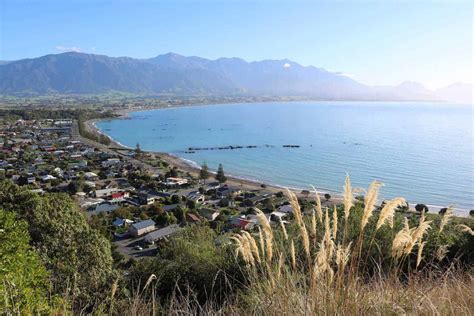 21 Epic Things To Do In Kaikoura New Zealand