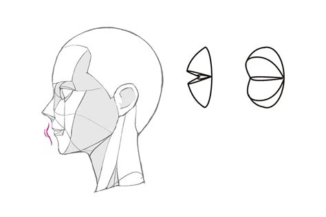 How To Draw Anime Mouths From A Side View Anime Art Magazine