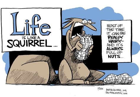 life is like a squirrel if you read nothing else today read this and maybe the stuff