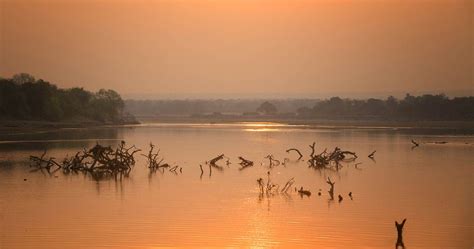 When To Visit South Luangwa National Park In Zambia