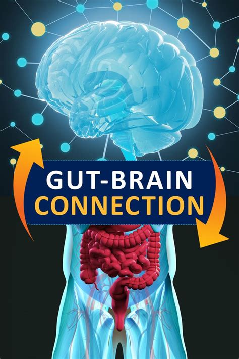 The Gut Brain Connection How Gut Health Affects Your Mood Gut Brain