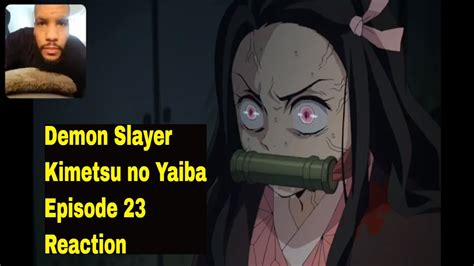 Demon Slayer Kimetsu No Yaiba Episode 23 Hashira Meeting Reaction