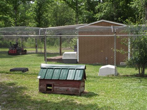 About - Fur Ever Home Cat Sanctuary