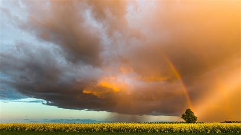 Rainbow Sky Over Field Hd Wallpaper Background Image