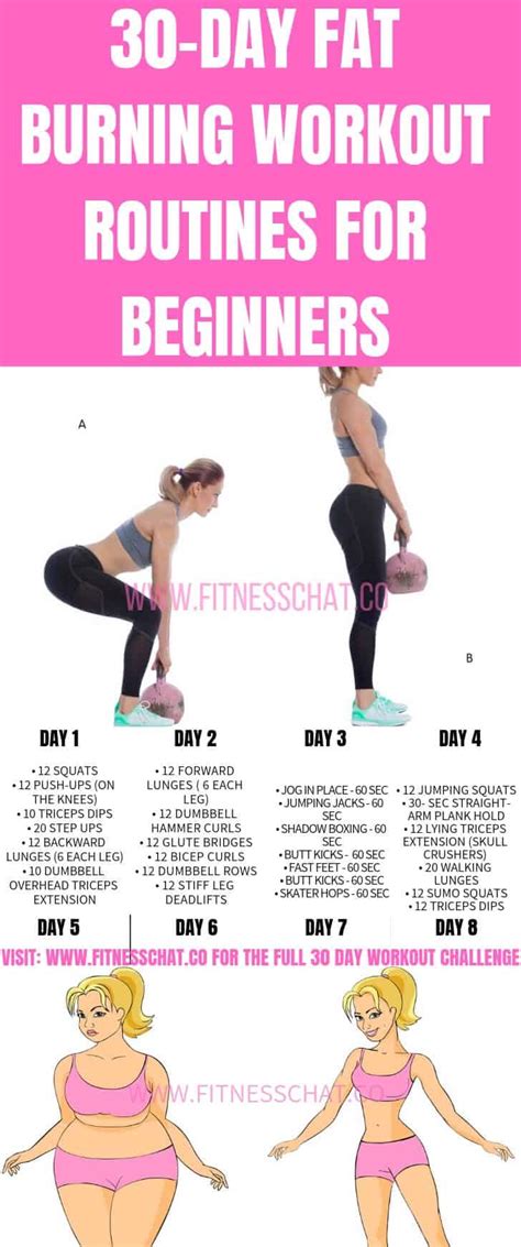 Best 30 Day Workout Plan For Beginners At Home Pdf Workout Routines For Beginners Weights