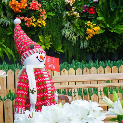 Turn Your Backyard Into A Holiday Winter Wonderland Poolside News