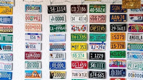 Florida Specialty License Plates Which Are The Most Popular Designs