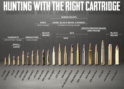 What Type Of Ammo Should I Use For Hunting 80 Percent Arms