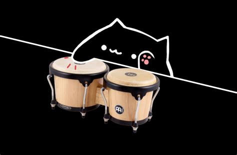 Bongo Cat Perfectly Simple Online Noise Maker Boing Boing