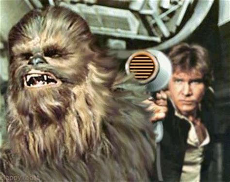 Funny Han Solo And Chewbacca Dump A Day