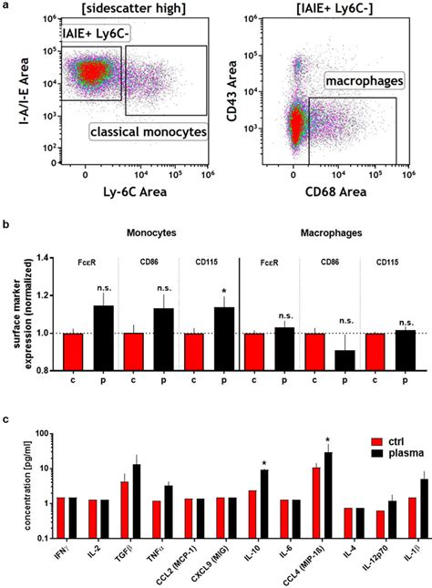 Activation of monocyte and macrophage splenocyte subpopulations after ...