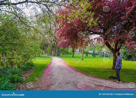 Scenic Springtime View Of A Winding Garden Path Lined By Beautiful