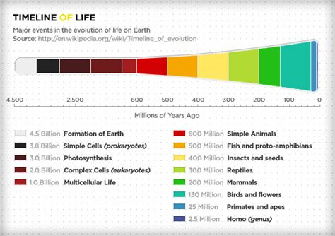 Erraticwisdom State Of The Species