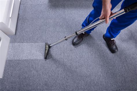 One cleaning with the host. Plan Your Carpet Cleaning Regularly in Fort Myers Florida