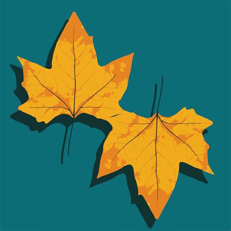 Maple Leaves Illustration Free Image By Nikhil Bombatkar On