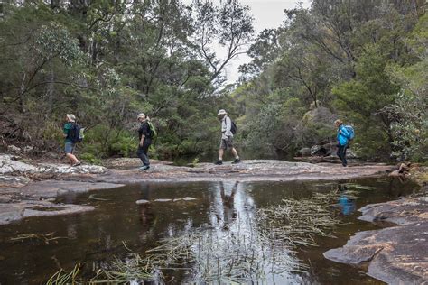 Sapphire Coast Guiding Co Guided Walks And E Bike Tours In Nsw