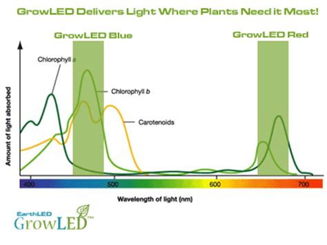 About 30% of red light is loss at warm white leds often work better for growing plants, however, they cast a yellowish visual tone on the tank as they lack adequate blue spectrum. EarthLED GrowLED™ Series LED Grow Lights - EarthLED.com