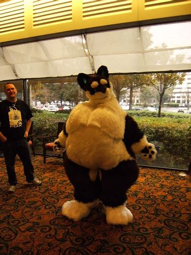 Fat Fursuit This Was Really Odd But Very Cuddly Zuki Akula Flickr