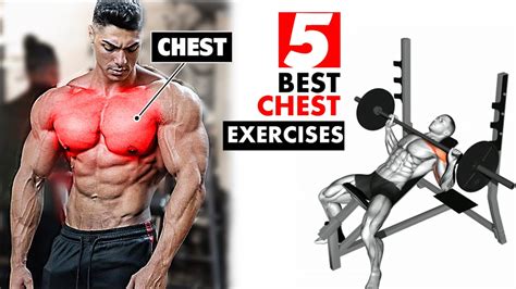 Top 5 Best Chest Exercises