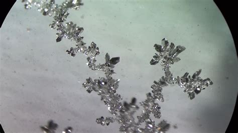 Grow Silver Crystals by Electrochemistry (with Pictures) - Instructables