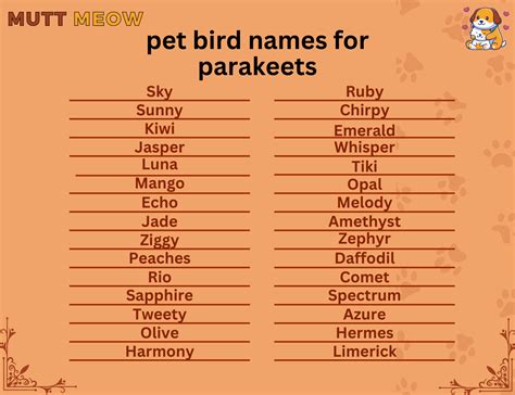 Pet Bird Names For Parakeets Mutt Meow