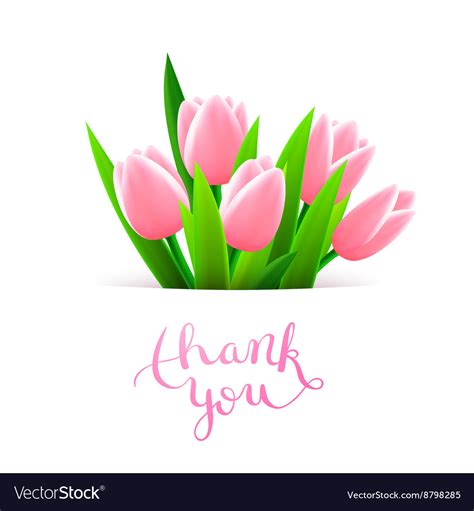 Thank you sweetie animated gif to bring. Thank you with tulip flowers Royalty Free Vector Image