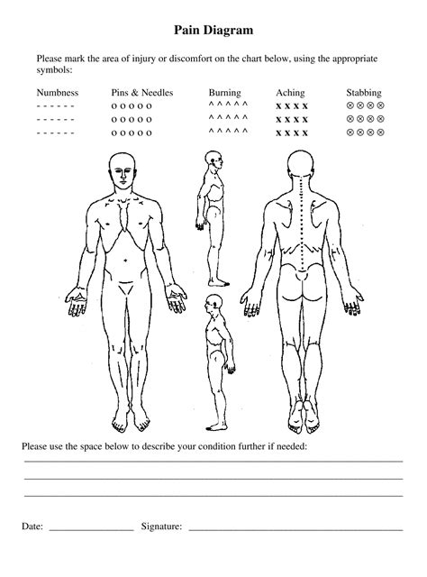 Shoulder disorders are the most common causes of shoulder pain. Body Pain Diagram Template Download Printable PDF ...