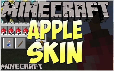 Appleskin Mod Minecraft Mc Wiki