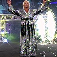 Crazytights Ric Flair Robes Black W Silver V