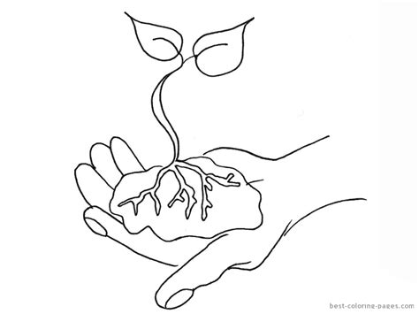Tools coloring sheet creative images. Garden Tools Coloring Pages Coloring Pages