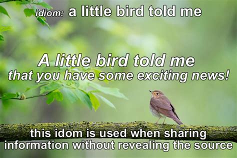 Idiom A Little Bird Told Me Funky English