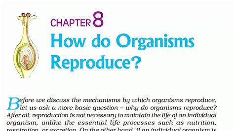 How Do Organisms Reproduce Introduction Class 10th Ncert Science