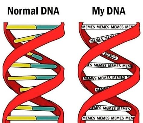 Chemistry Memes On Instagram “follow Chemistrymemes For More