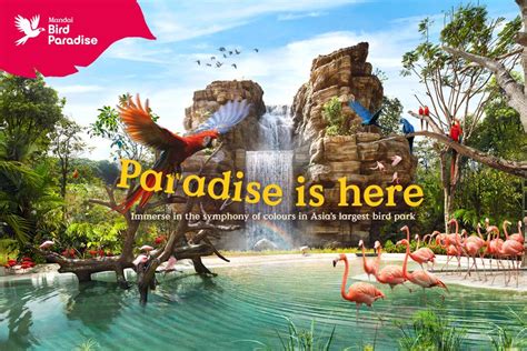 New Attraction Opening On 8 May 2023 Singapore Bird Paradise Tickets