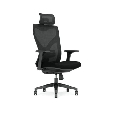 Ergonomic Chairs Buy Ergonomic Office Chairs Online Chairs Ofx Office