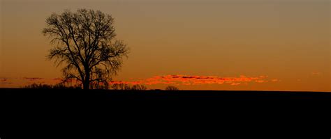 Lone Tree Sunset Photograph By Wayne Vedvig Fine Art America